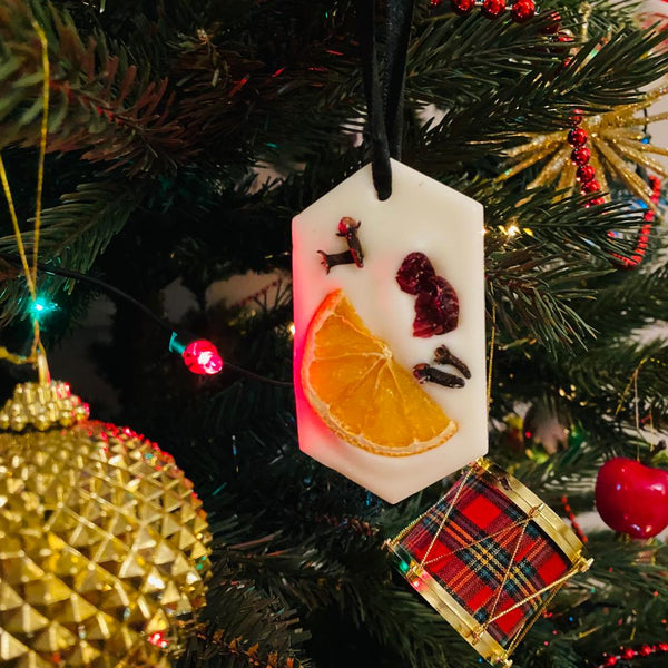 Christmas Tree Scented Wax Hanger